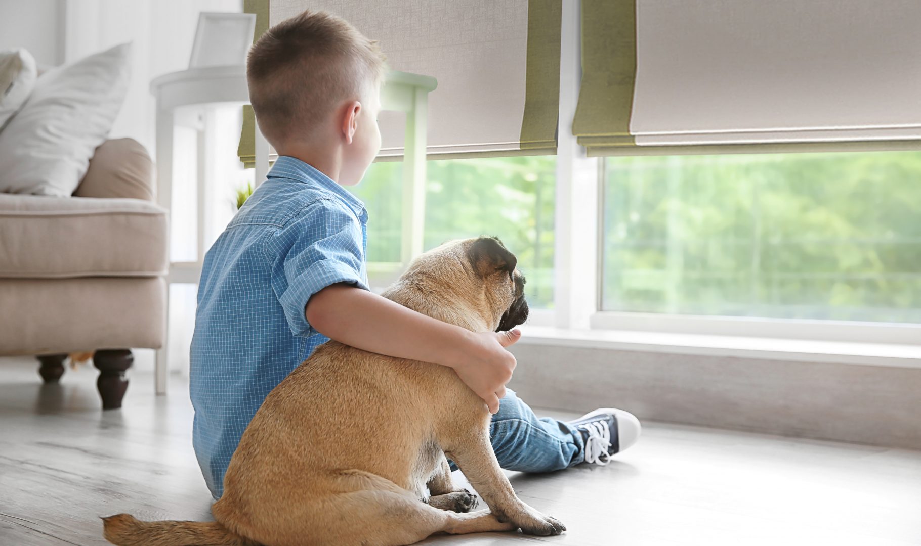 Cordless Roman shades with a boy and a dog